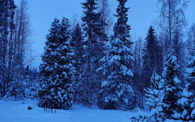 Ilmastonmuutos ja ihmisoikeudet, kuinka ne liittyvät toisiinsa