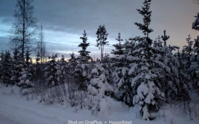 Millainen on luontosuhteesi?