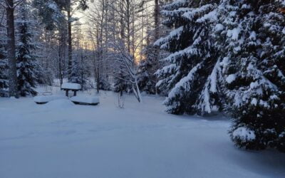 Jouluntaikaa